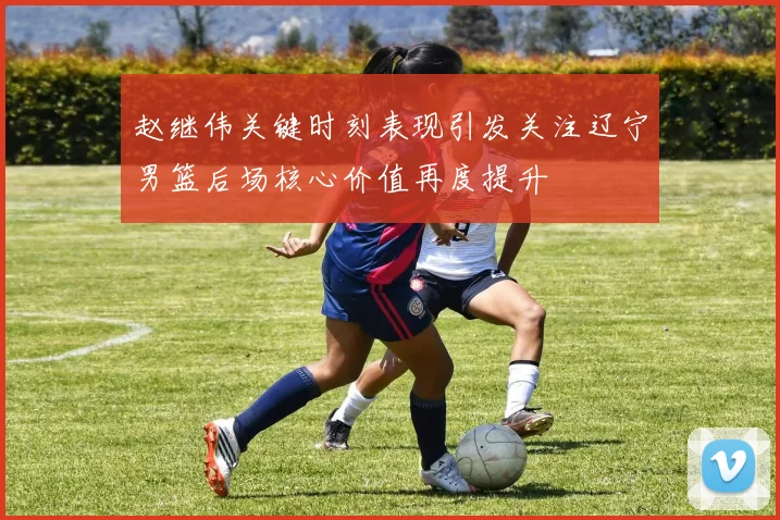 赵继伟关键时刻表现引发关注辽宁男篮后场核心价值再度提升